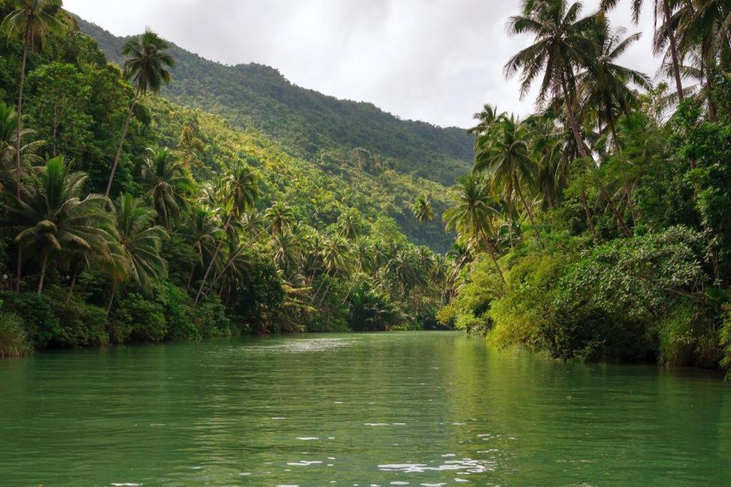 Loboc Riverfront Resort And Restaurant Eksteriør billede